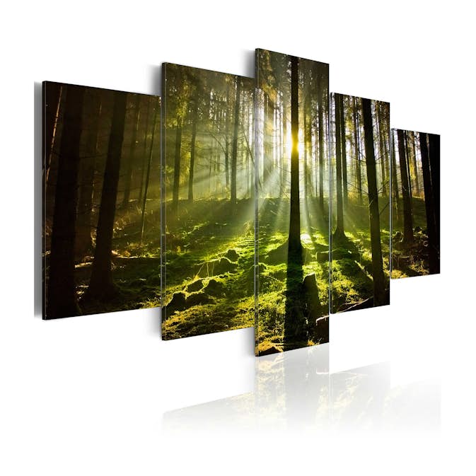 Tavla Arkiio Spring Silence