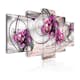 Tavla Arkiio Pearl Flight