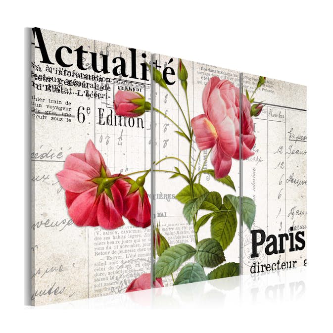 Tavla Arkiio Paris Directeur