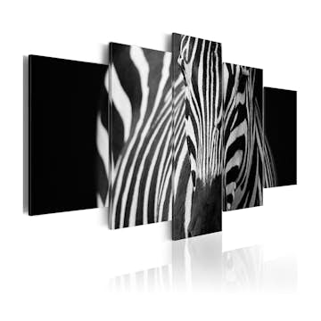 Tavla Arkiio Zebra Look