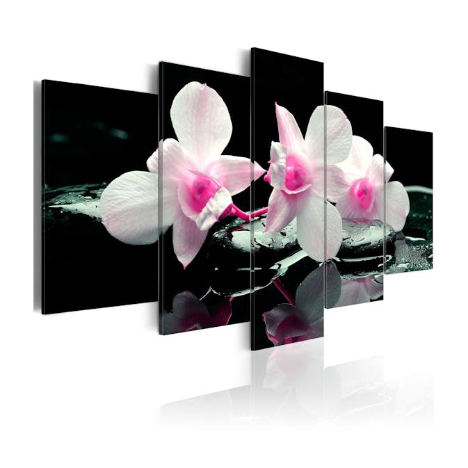 Tavla Arkiio Rest Of Orchids