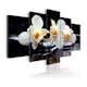Tavla Arkiio Orchids With Orange Accent