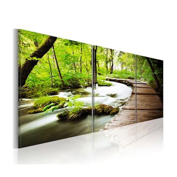 Tavla Arkiio Forest Brook