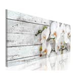 Tavla Arkiio White Dreams