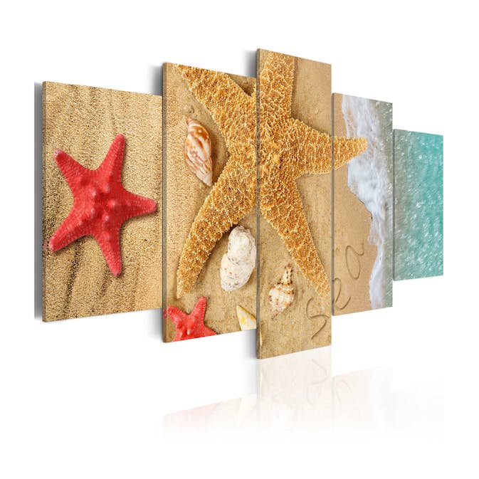 Tavla Arkiio Sea Treasure