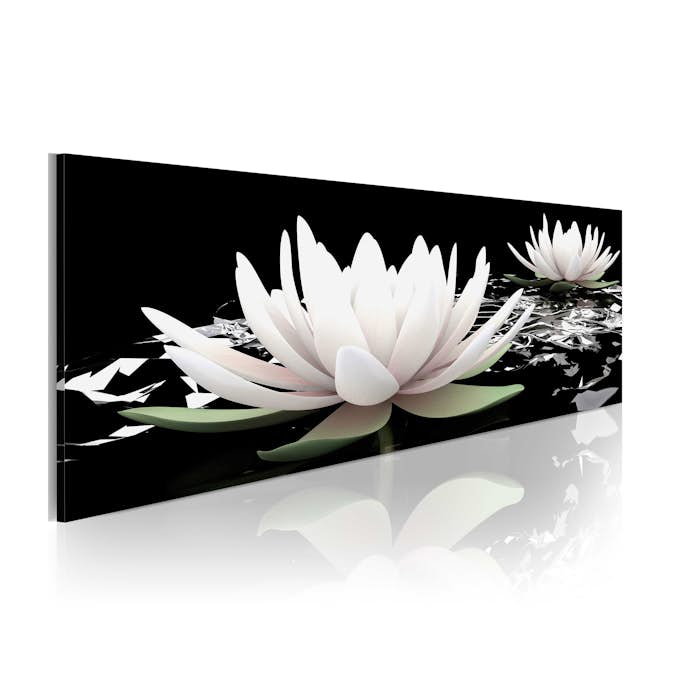 Tavla Arkiio Lily Cruise