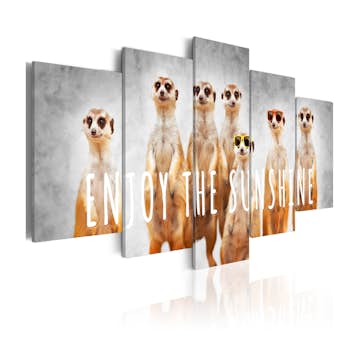 Tavla Arkiio Enjoy The Sunshine