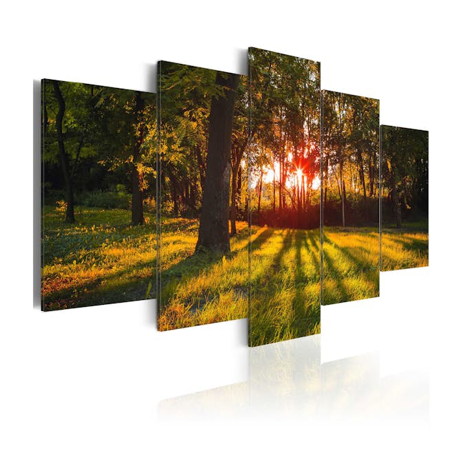 Tavla Arkiio In The shade Of Forest