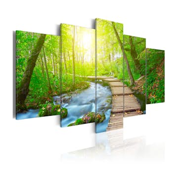 Tavla Arkiio Sunny Forest