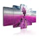 Tavla Arkiio Purple Land