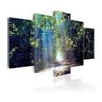 Tavla Arkiio Sunny Forest Path