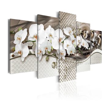 Tavla Arkiio Burst Of Energy