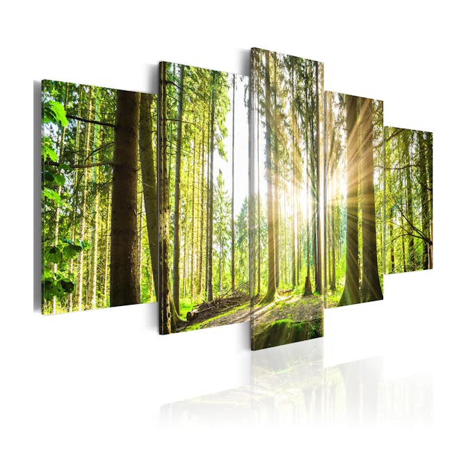 Tavla Arkiio Forest Kingdom