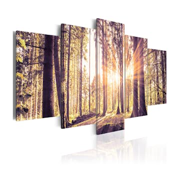 Tavla Arkiio Morning Idyll