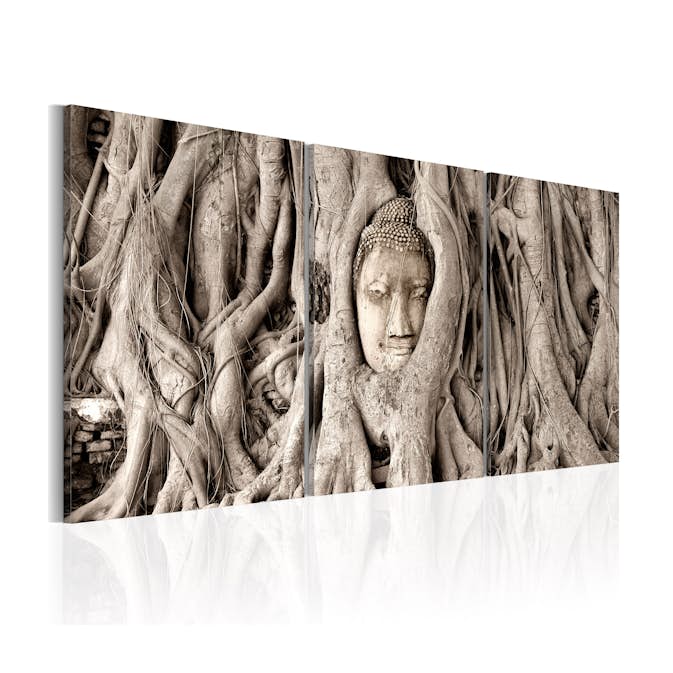 Tavla Arkiio Meditation's Tree