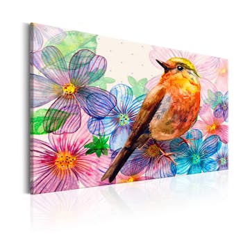 Tavla Arkiio Nightingale's Song