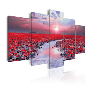 Tavla Arkiio The River Of Love