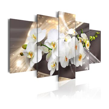 Tavla Arkiio Golden Sash