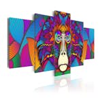 Tavla Arkiio Hypnosis Of Colours