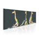Tavla Arkiio Colourful Giraffes