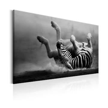 Tavla Arkiio Fun In The Dust