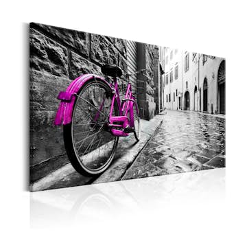Tavla Arkiio Vintage Pink Bike