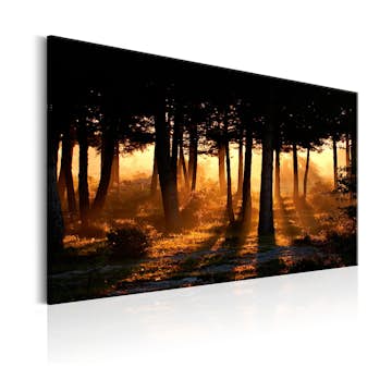 Tavla Arkiio Forest Dawn