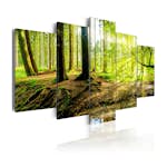 Tavla Arkiio Poetry Of A Forest