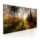 Tavla Arkiio Beautiful Forest
