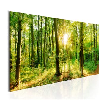 Tavla Arkiio Green Magic