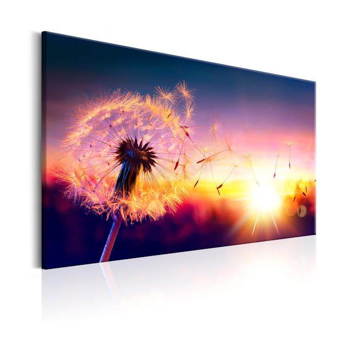 Tavla Arkiio Freedom Of Nature