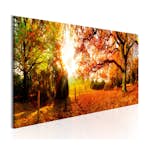 Tavla Arkiio Magic Of Autumn