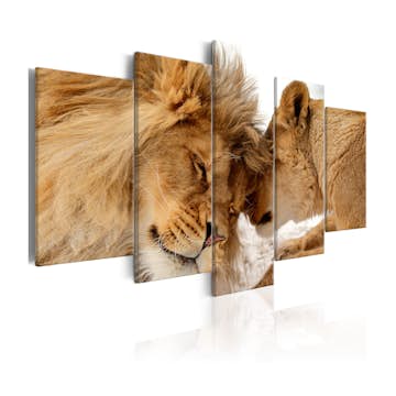 Tavla Arkiio Wild Love