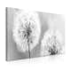 Tavla Arkiio Fluffy Dandelions Green