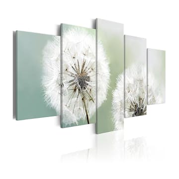 Tavla Arkiio Windless Morning