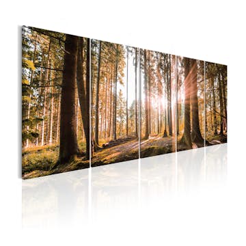 Tavla Arkiio Beauty Of Nature