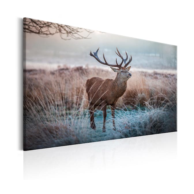 Tavla Arkiio Wild Animal