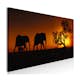 Tavla Arkiio Elephant Family