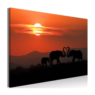 Tavla Arkiio Elephants In Love