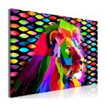 Tavla Arkiio Rainbow Lion