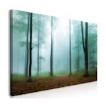 Tavla Arkiio Misty Morning