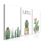 Tavla Arkiio Prickly Flowers 3 delar 120x60