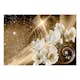 Fototapet Arkiio Självhäftande Golden Milky Way
