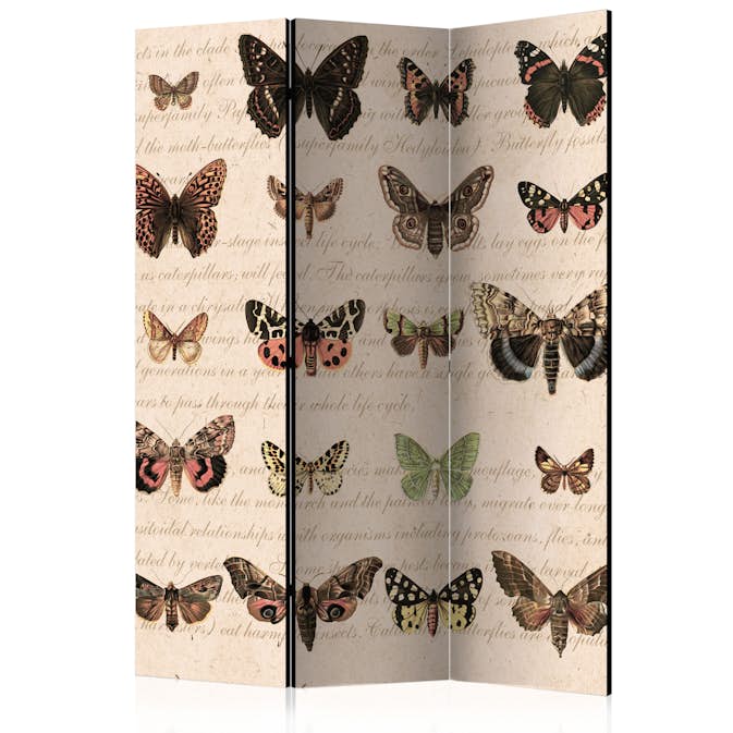 Rumsavdelare Skärmvägg Arkiio Retro Style: Butterflies 135x172 cm