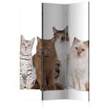 Rumsavdelare Skärmvägg Arkiio Sweet Cats 135x172 cm