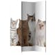 Rumsavdelare Skärmvägg Arkiio Sweet Cats 135x172 cm