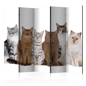 Rumsavdelare Skärmvägg Arkiio Sweet Cats II 225x172 cm