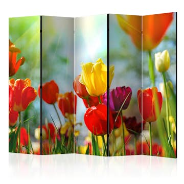 Rumsavdelare Skärmvägg Arkiio Spring Tulips II 225x172 cm