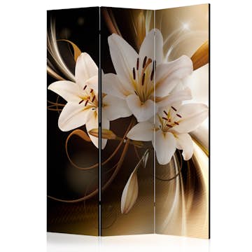 Rumsavdelare Skärmvägg Arkiio Circle Of Light 135x172 cm