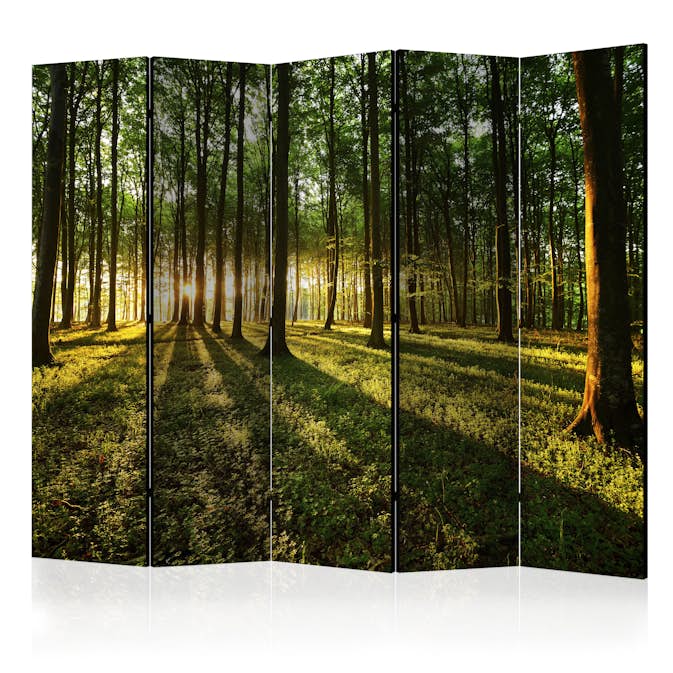Rumsavdelare Skärmvägg Arkiio Morning in the Forest II 225x172 cm